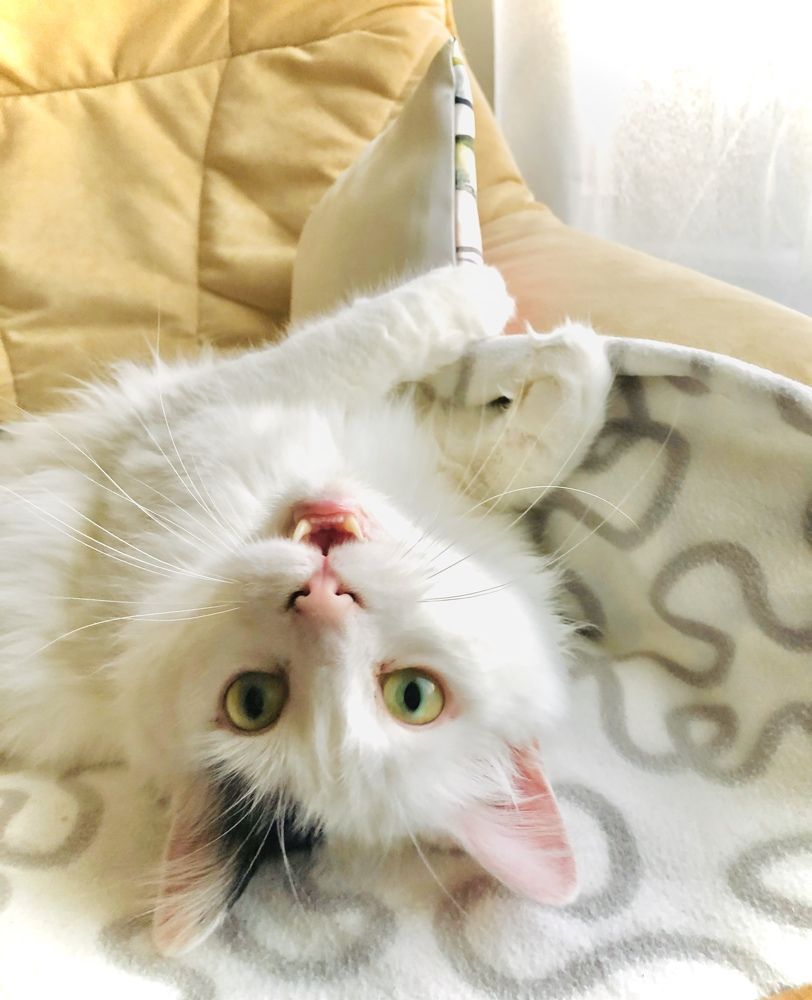 Photograph by Maryna Hedegaard