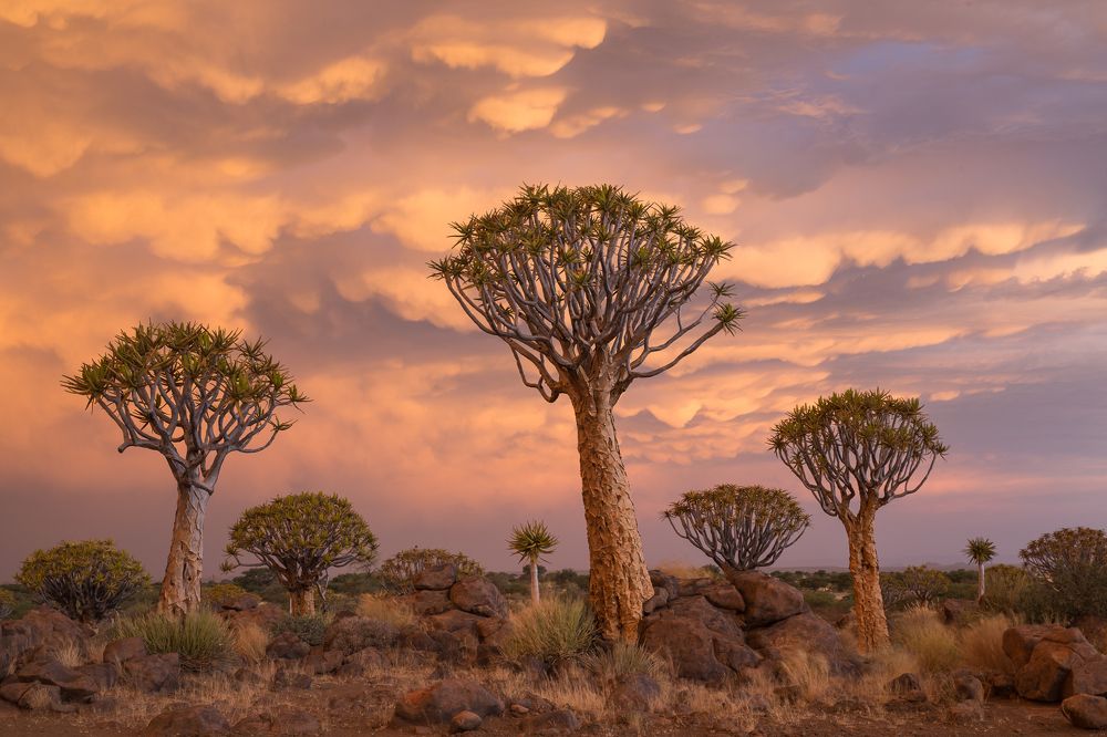 Photograph by Марина Маликова