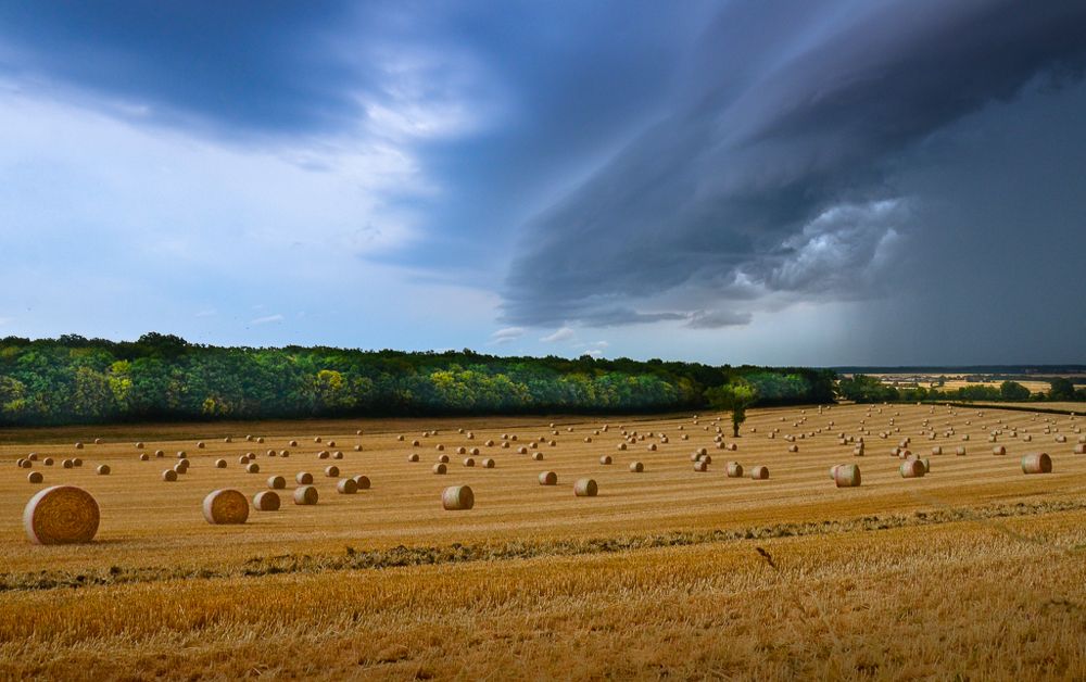 Photograph by LYUDMYLA POKRYSHEN