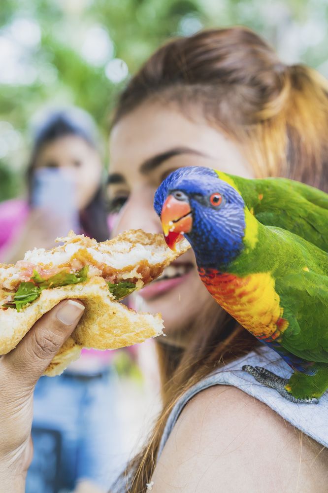 Photograph by Bijaya Lamichhane Jaisi