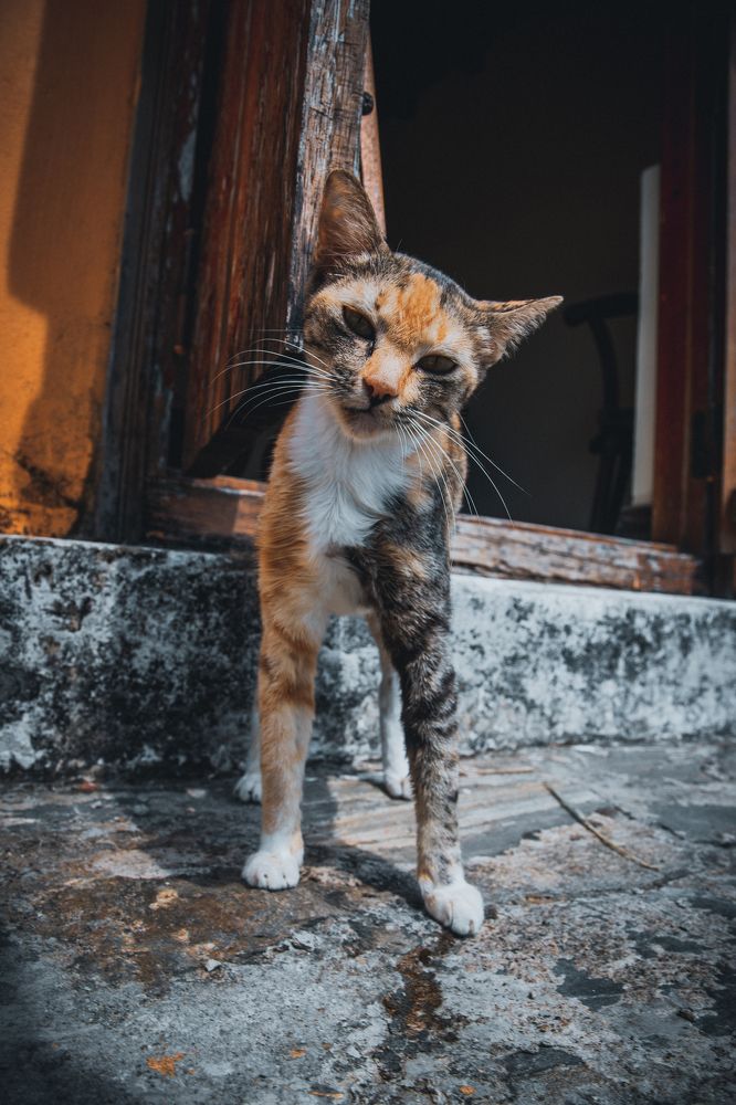 Photograph by Dzintra Zvagina