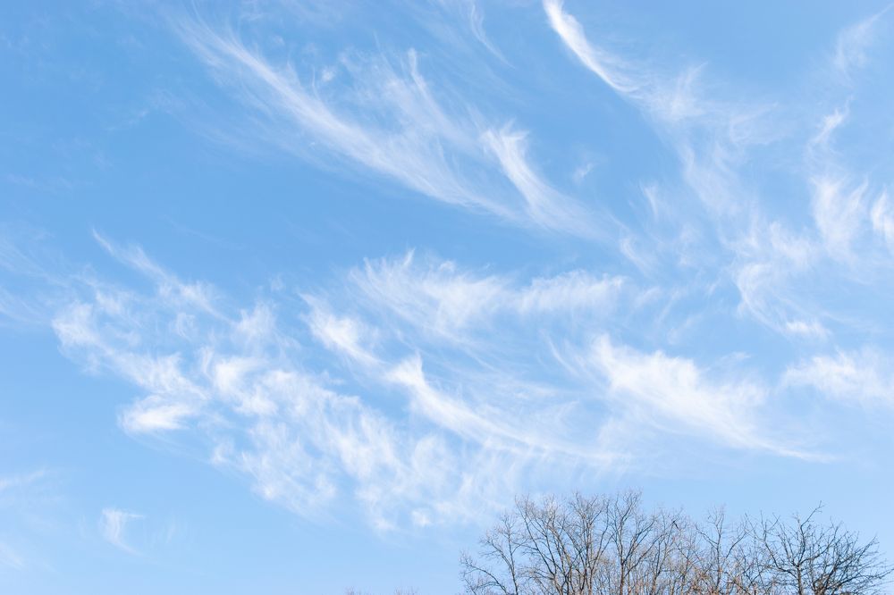 Photograph by Ирина Лапина