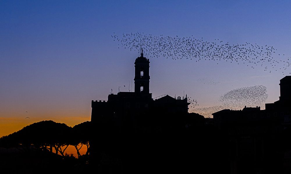 Photograph by LYUDMYLA POKRYSHEN