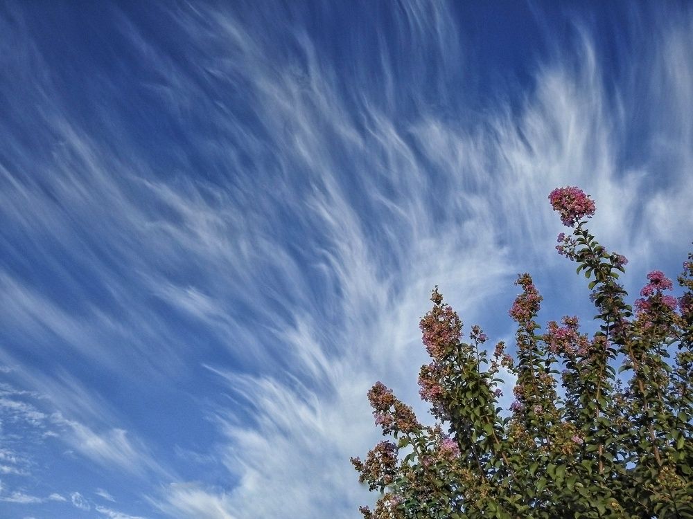 Photograph by Radison Jordão