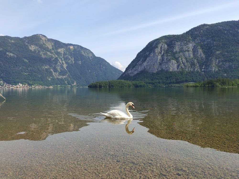 Photograph by Tamara Klimenko