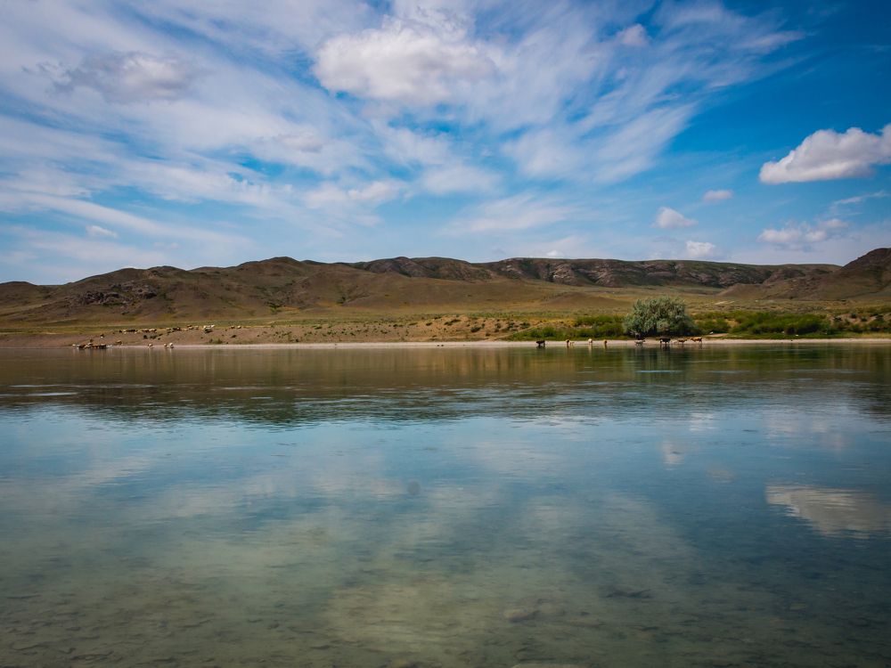 Photograph by Dmitriy  Dodonov