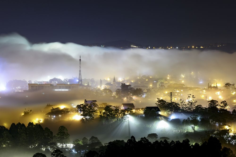 Dreaming of the city