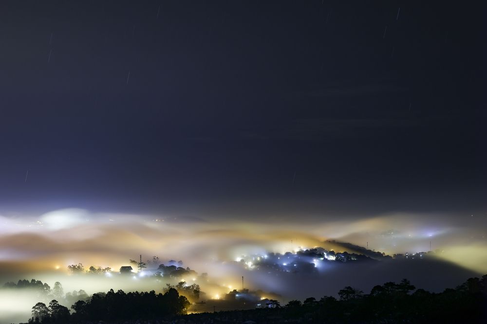 Dreaming of the city