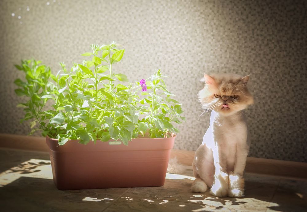 Photograph by Оксана Таибова