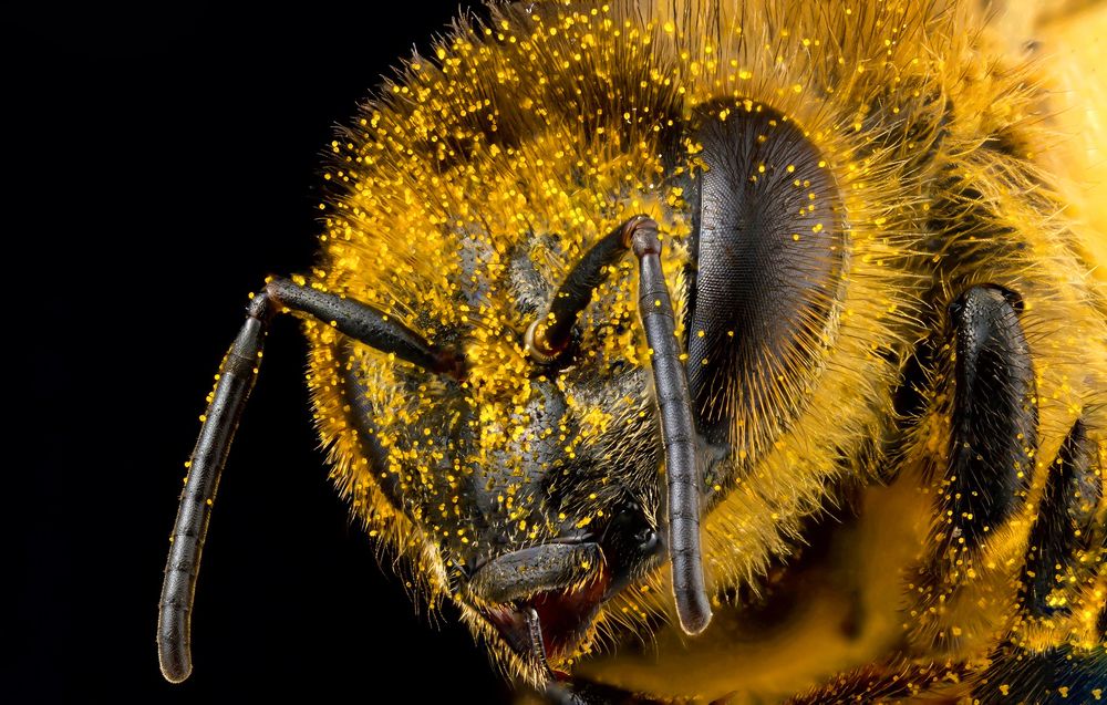 Photograph by Omid Rahimi