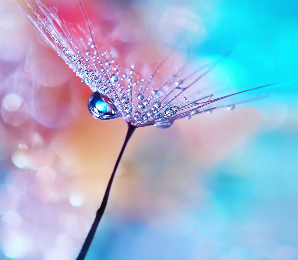 Photograph by Omid Rahimi