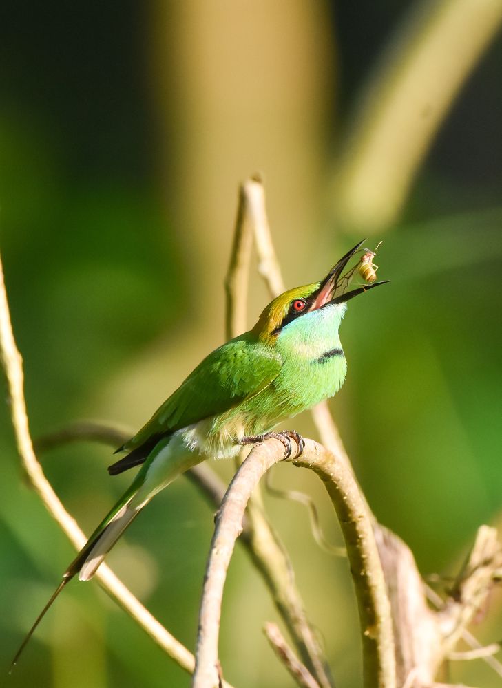 Photograph by Umesh Kumar PR