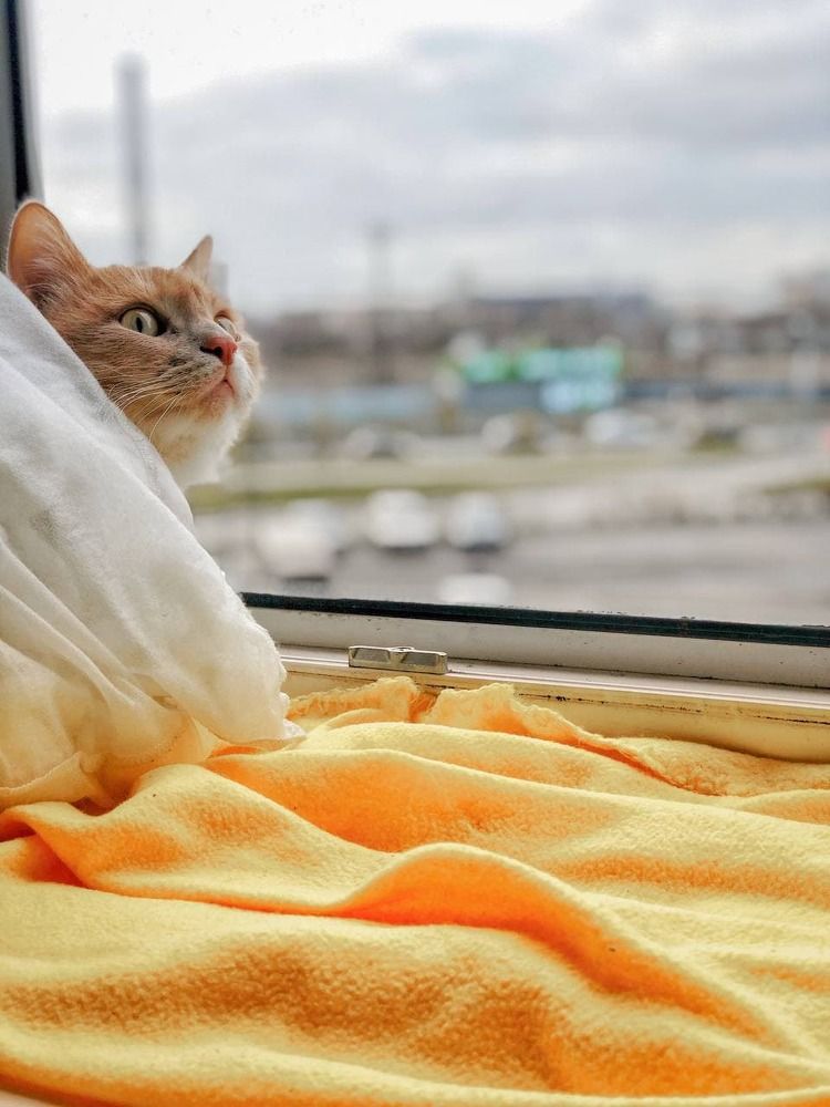 Photograph by Илья Вахитов