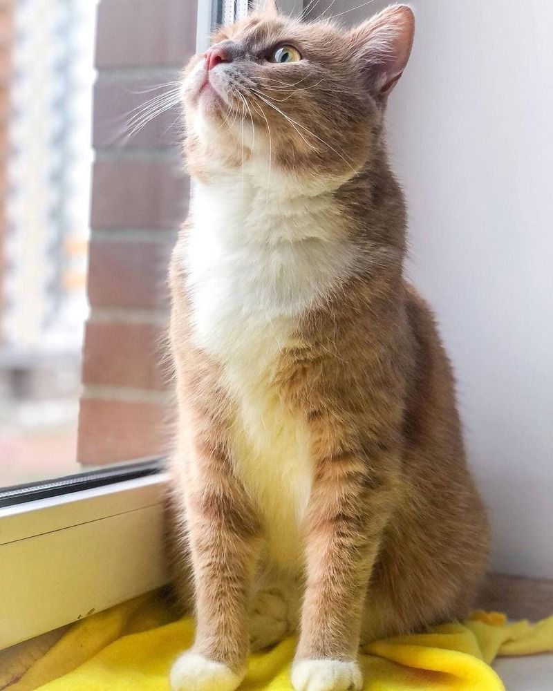 Photograph by Илья Вахитов