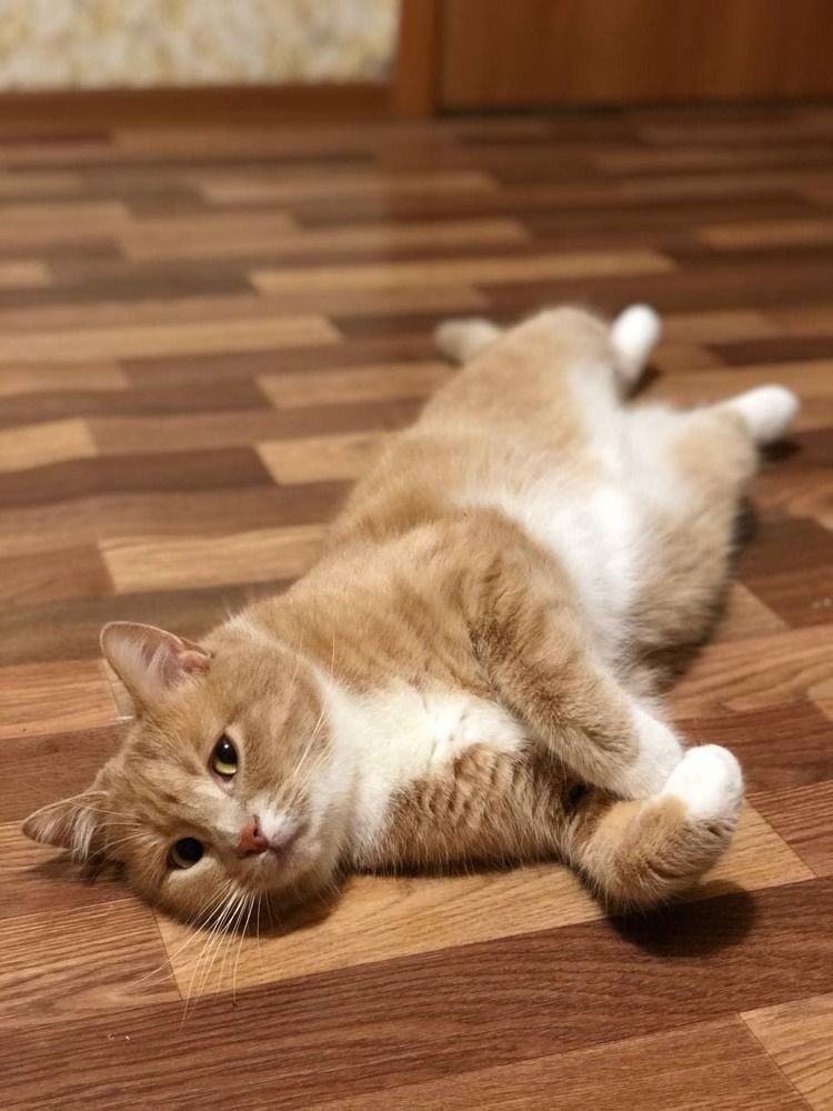 Photograph by Илья Вахитов