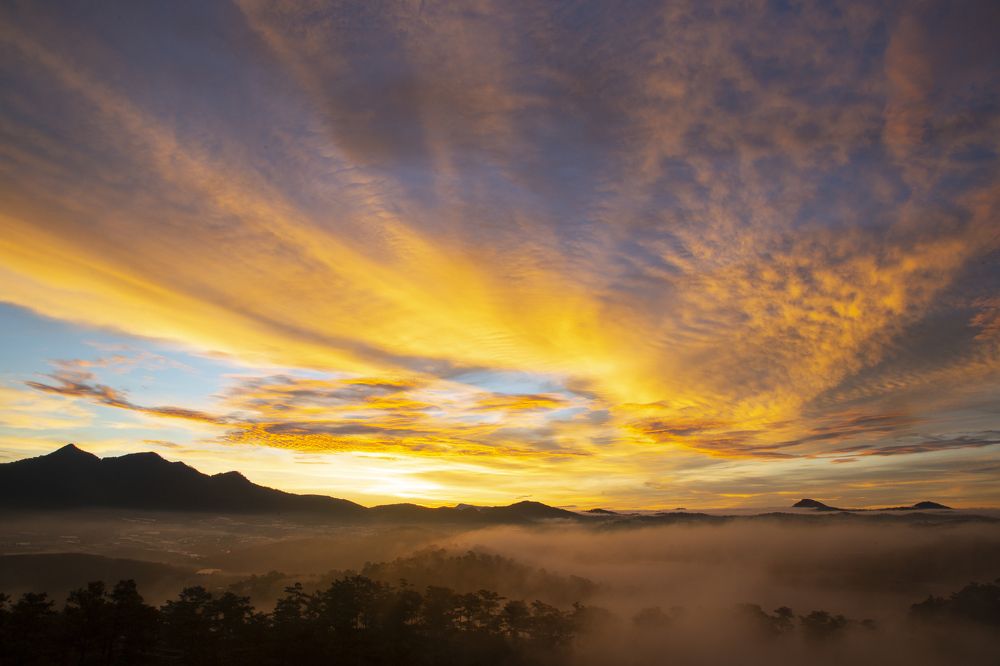 Photograph by Ho Phu Quoc