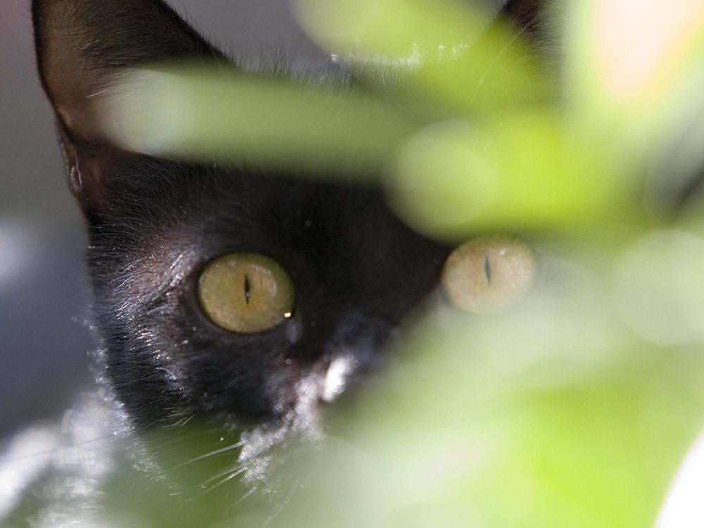 Photograph by Flavia Litrico