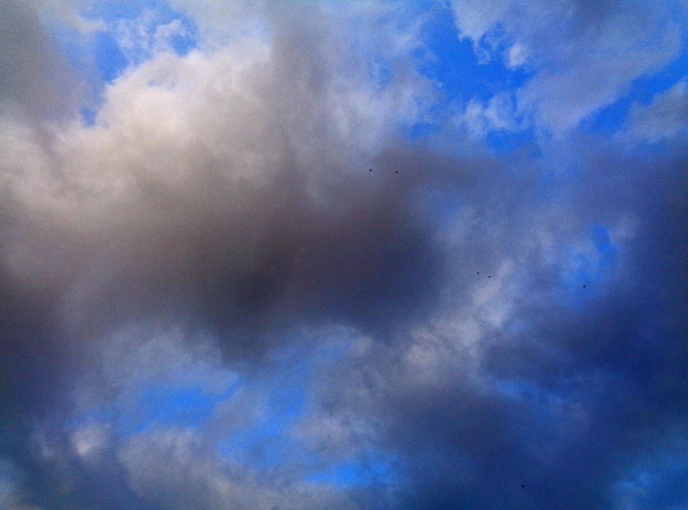 Фотография автора  Lizuza