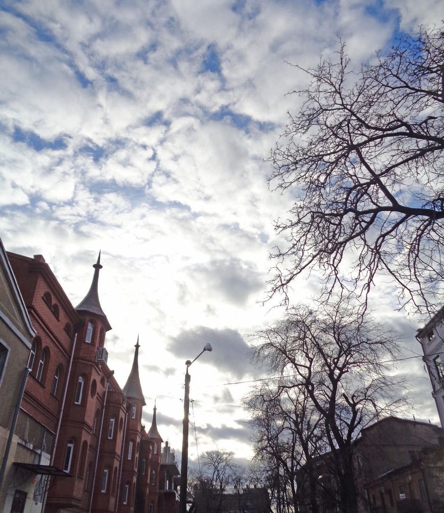 Фотография автора  Lizuza