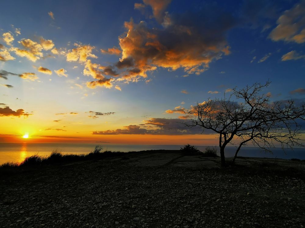 Photograph by Дмитрий Рассыльщиков