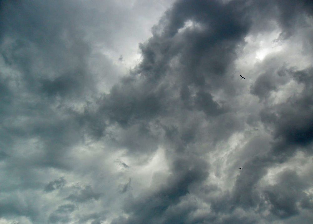 Фотография автора  Lizuza