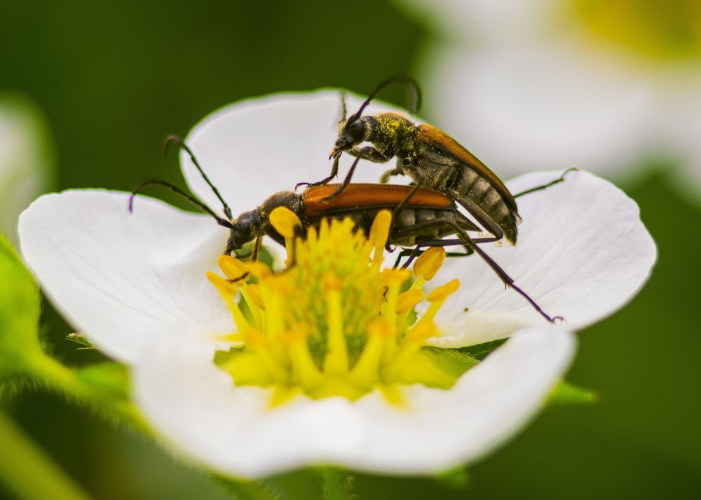 Photograph by Юлия Щербакова