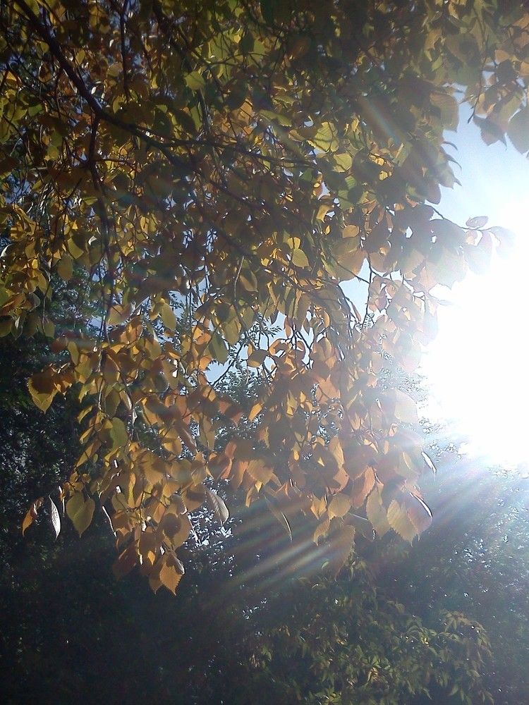 Photograph by карякина мария