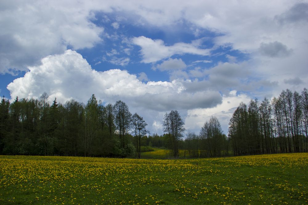 Photograph by Анна-Лаймуте Милошевич