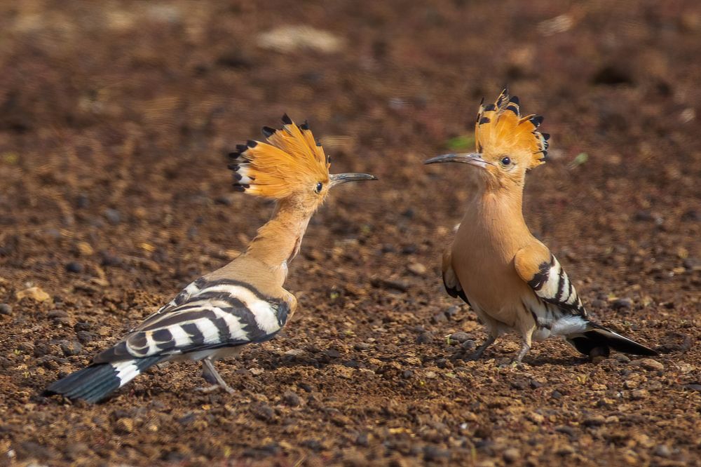 Photograph by Власов Егор
