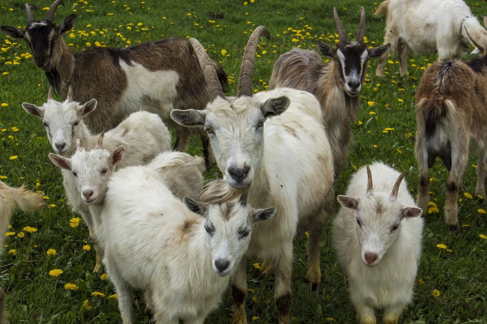 Photograph by Анна-Лаймуте Милошевич