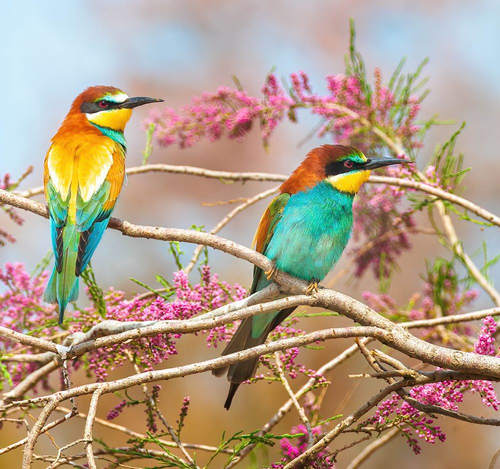 Photograph by Власов Егор