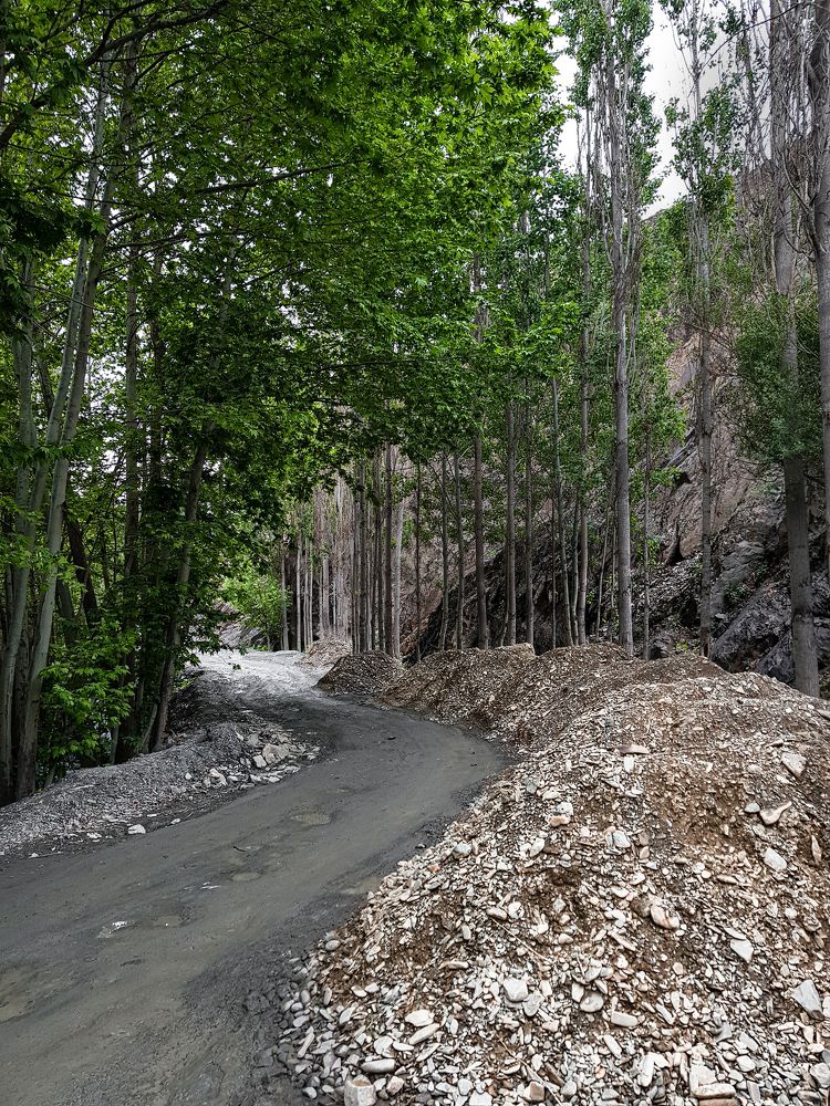 Фотография автора Nima Nezafat Yazdi