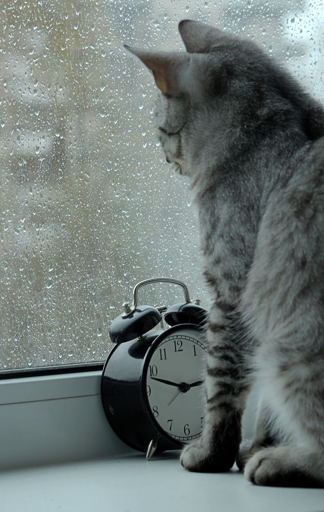 Фотография автора Геннадий Титов