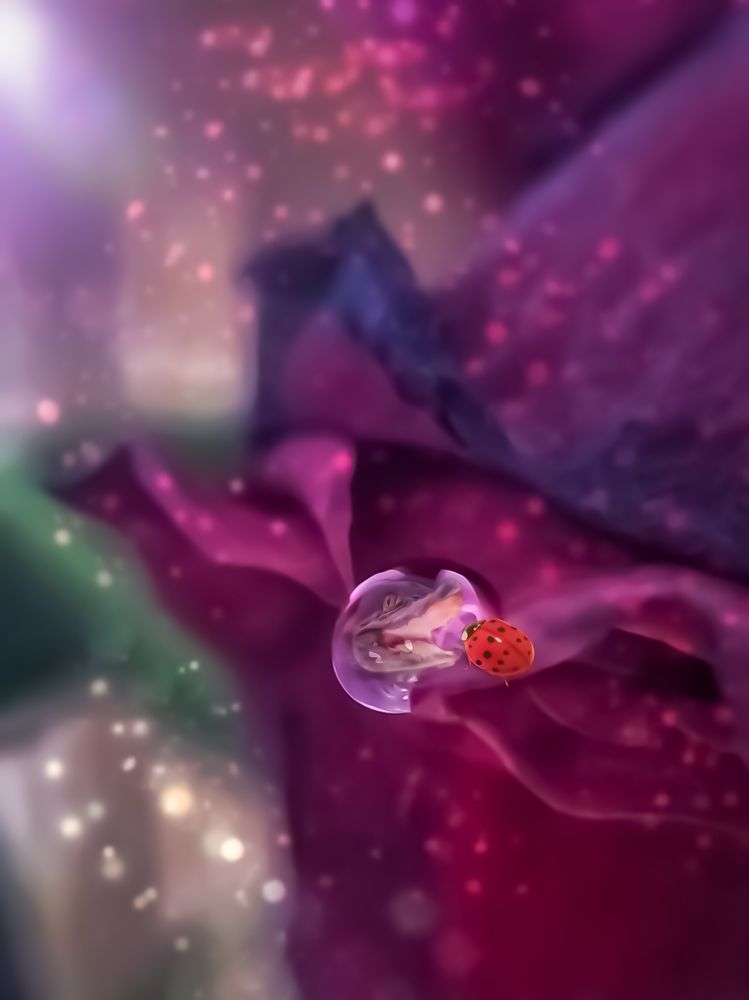 Photograph by Алексей Копылов