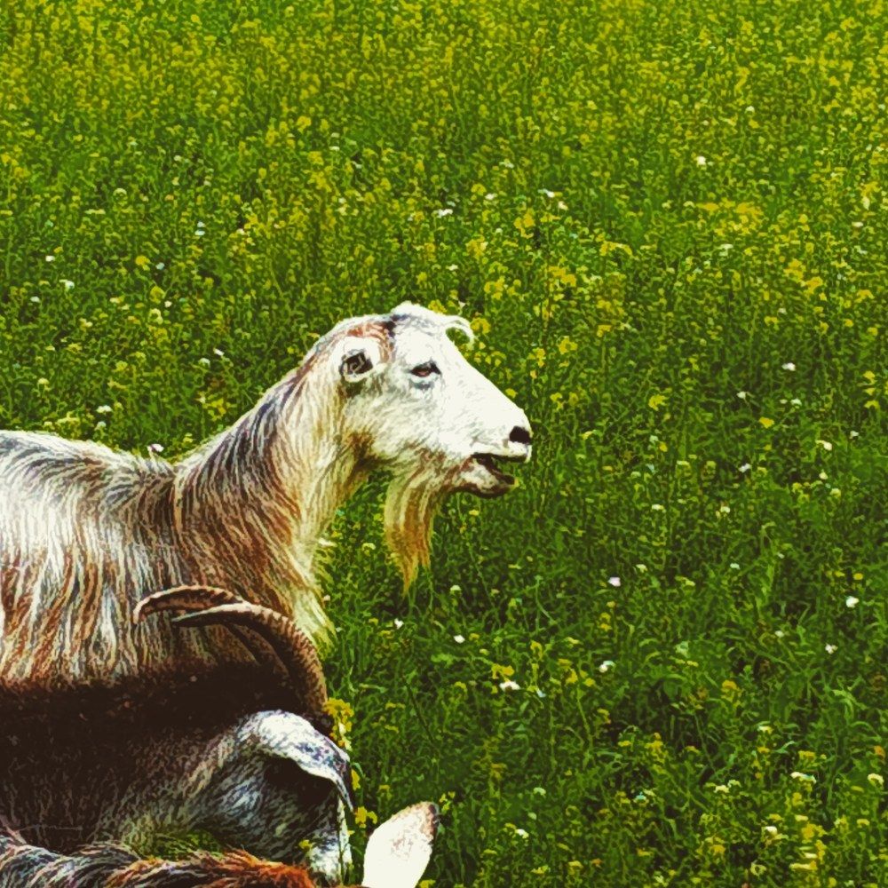 Фотография автора Сергей Зиньковский