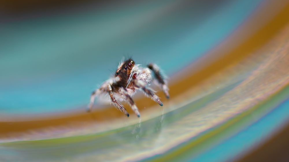 Photograph by Yaniv Abramovitz