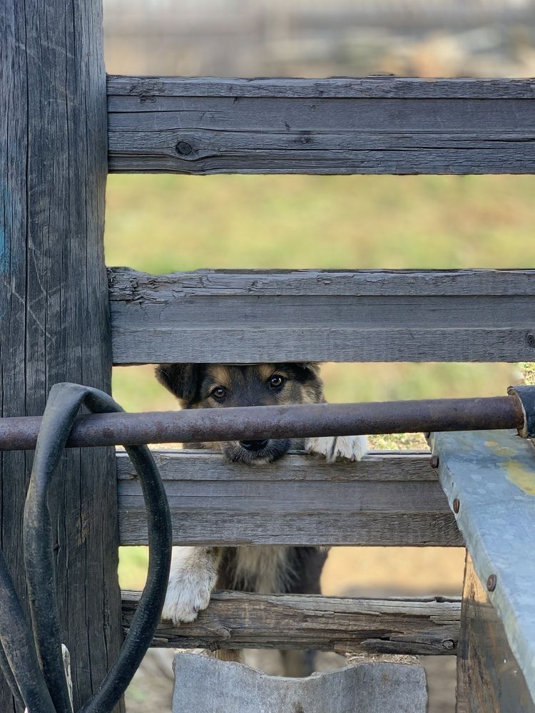 Photograph by Tatyana Grishko