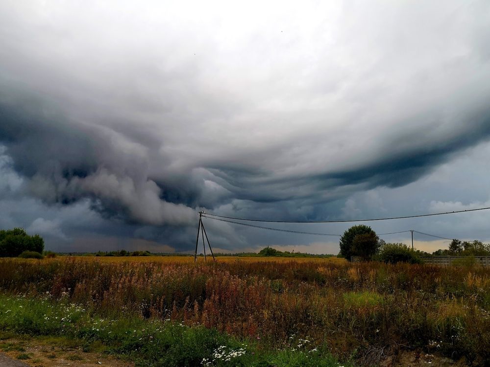 Photograph by Olga Asson