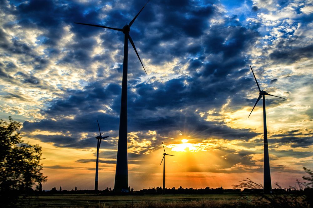 Фотография автора Гудкова Светлана