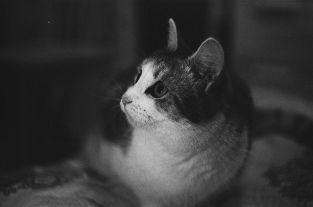 Photograph by Ольга Макаренко