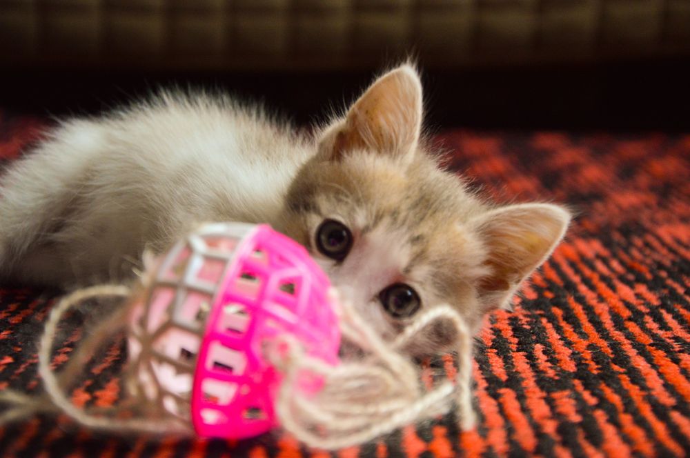 Photograph by Ольга Макаренко