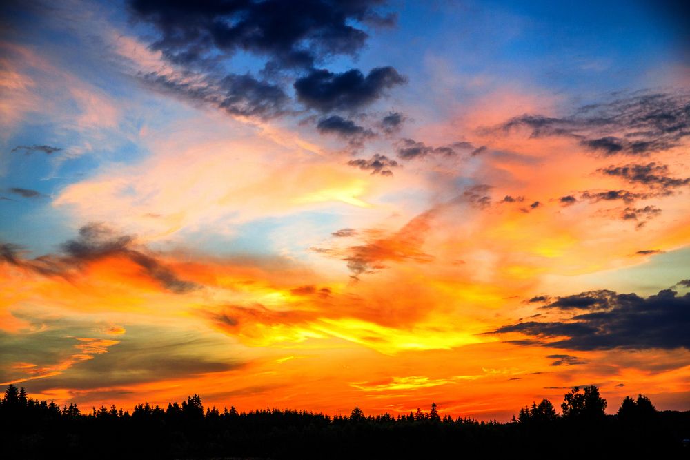 Фотография автора Гудкова Светлана