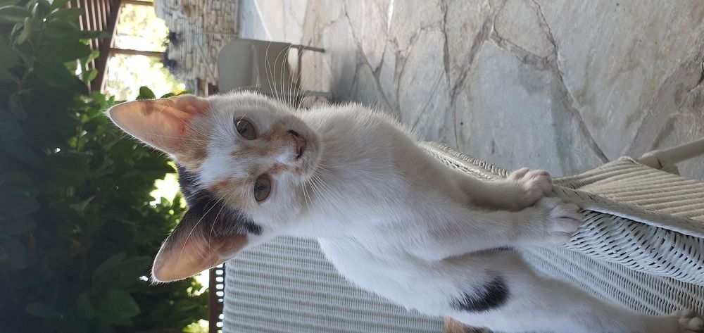 Photograph by jane nielsen