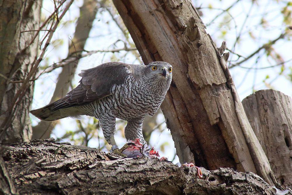 Photograph by Eizenija Freimane