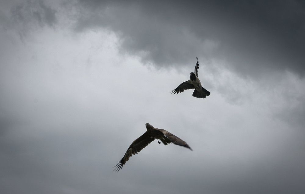 Photograph by Юлия Лушникова