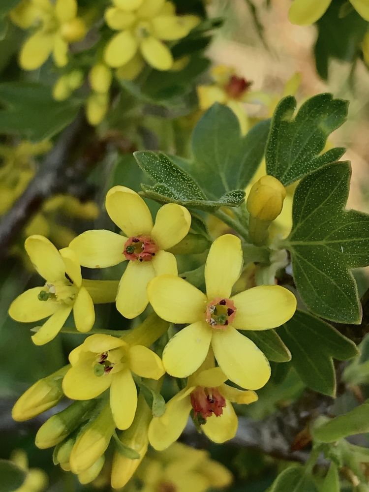 Photograph by Лидия Алесханова