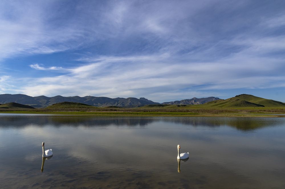 Photograph by Василий Малыш