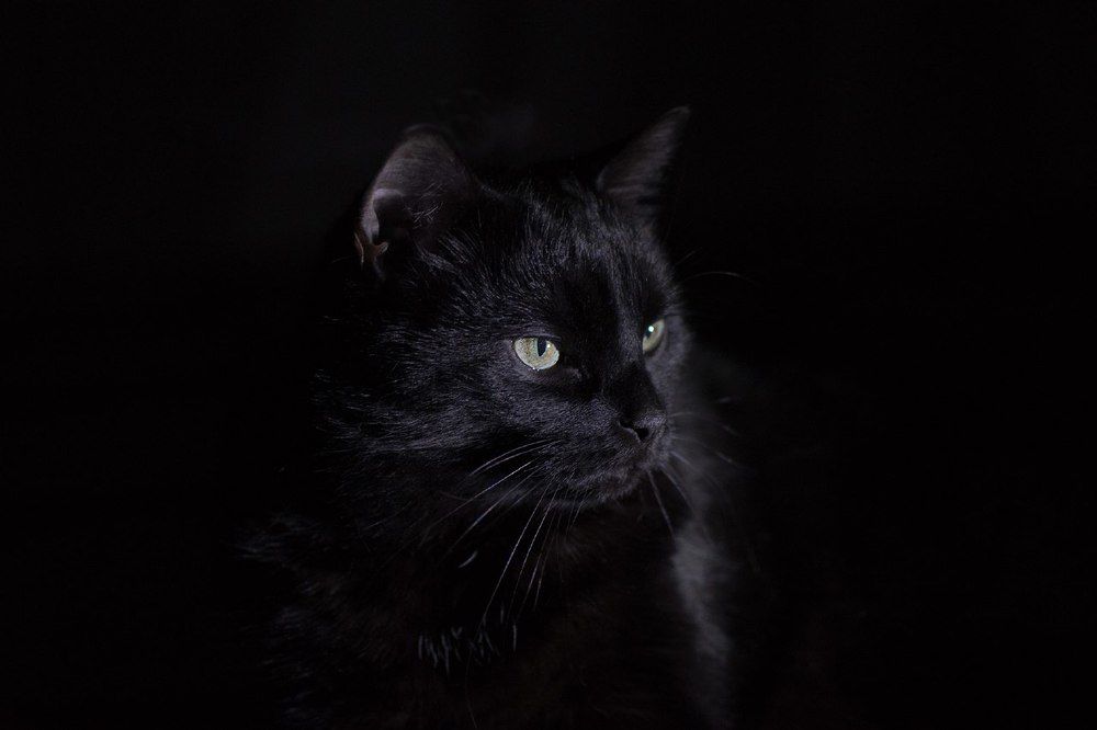 Photograph by Анна Марденски