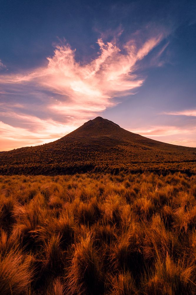 Photograph by Daniel Riscosa