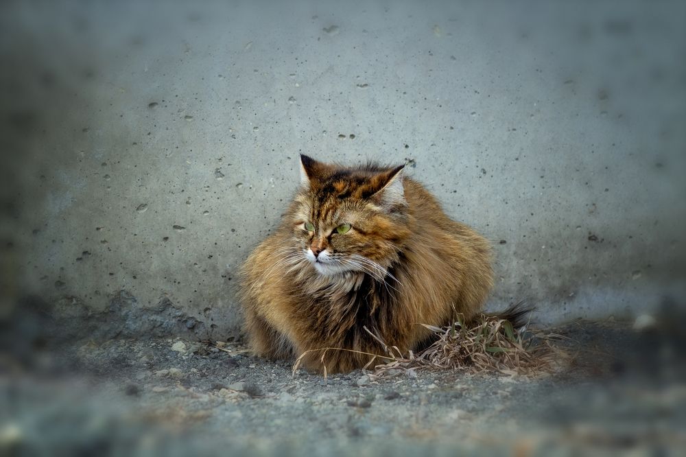 Photograph by Александр Канцур